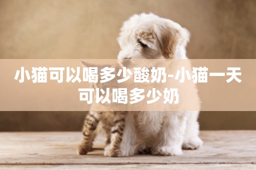 小猫可以喝多少酸奶-小猫一天可以喝多少奶